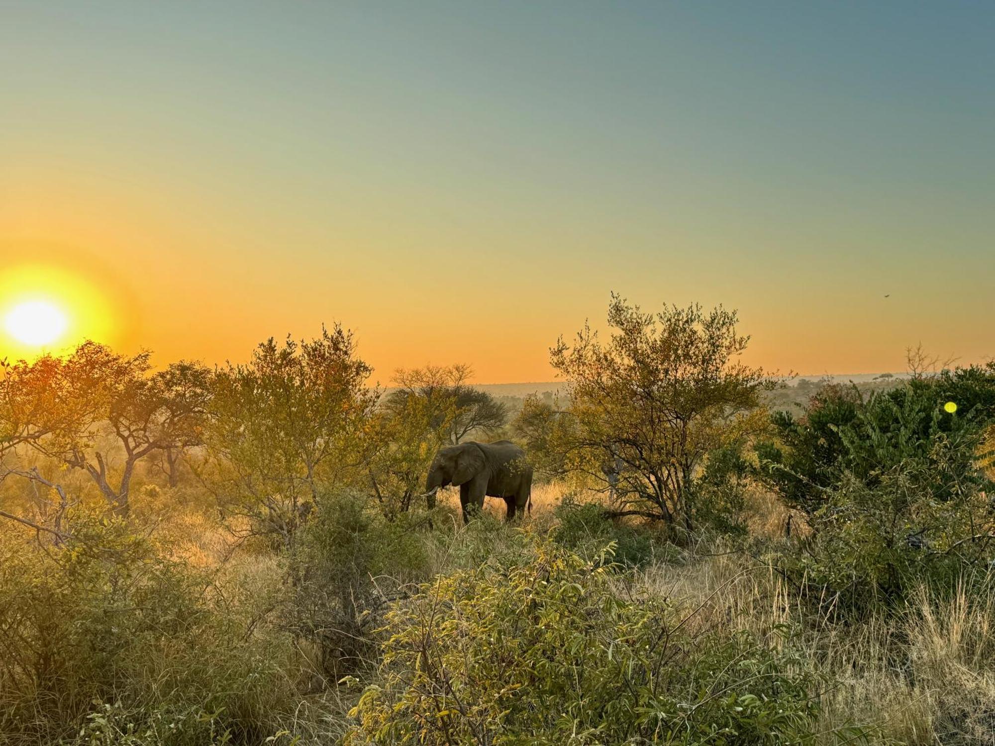 Ku Sungula Safari *