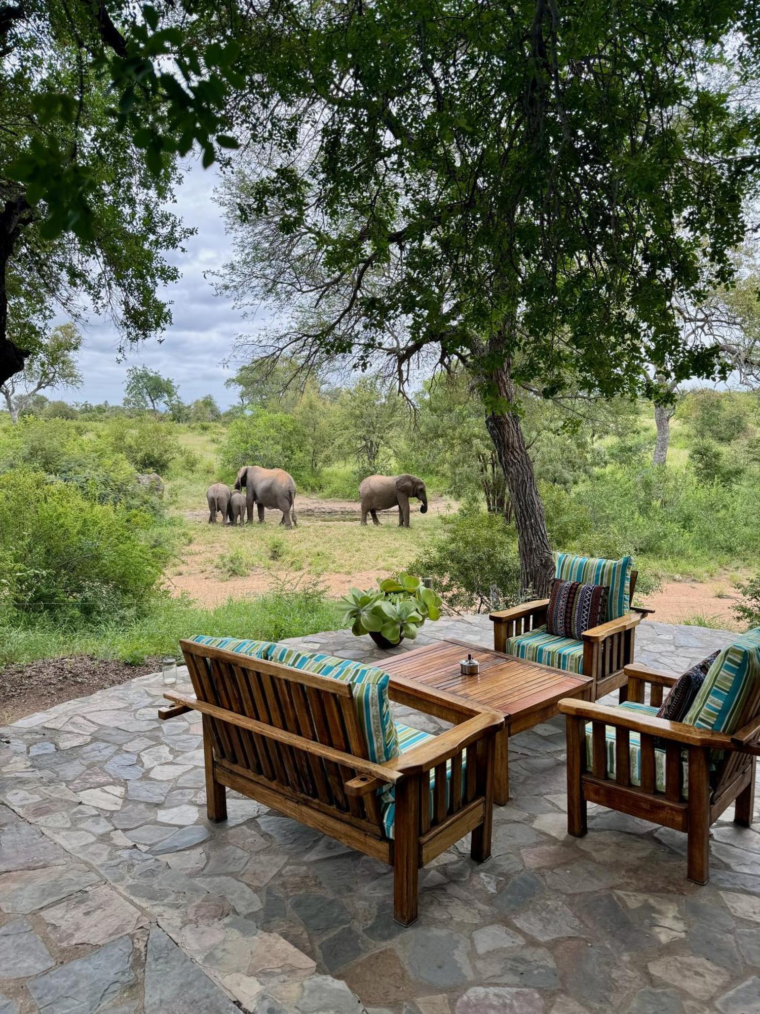 Lodge Ku Sungula Safari *