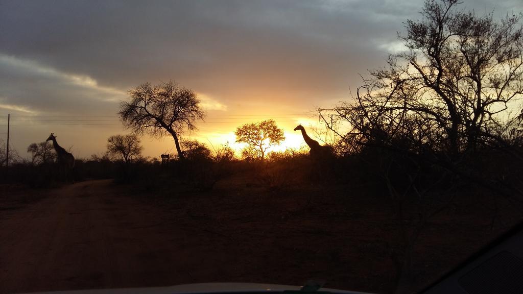 Lodge Ku Sungula Safari *