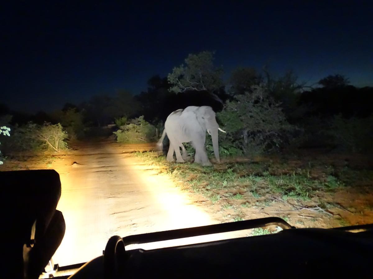 Ku Sungula Safari