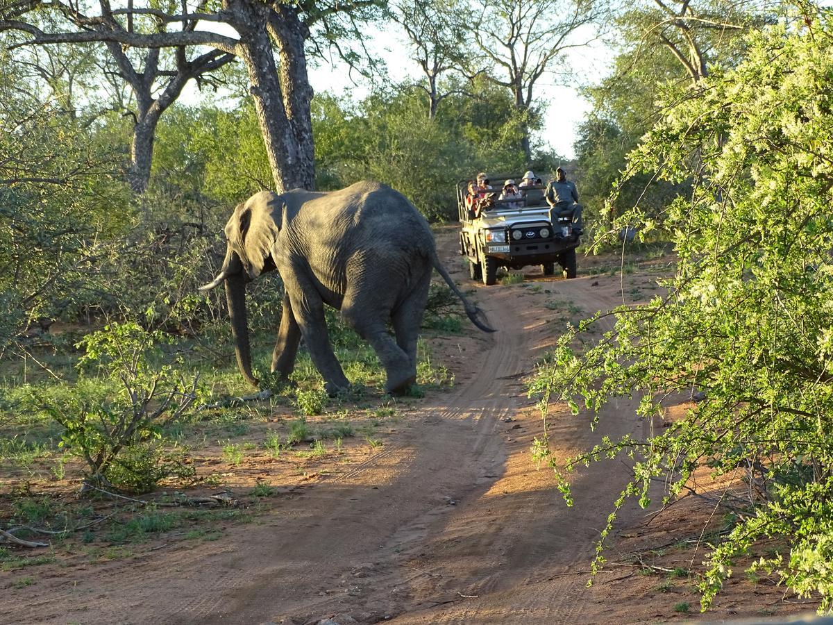 Ku Sungula Safari * Balule Game Reserve